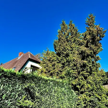 Appartement Haus Am Berg 2 à Neuenkirchen  Extérieur photo