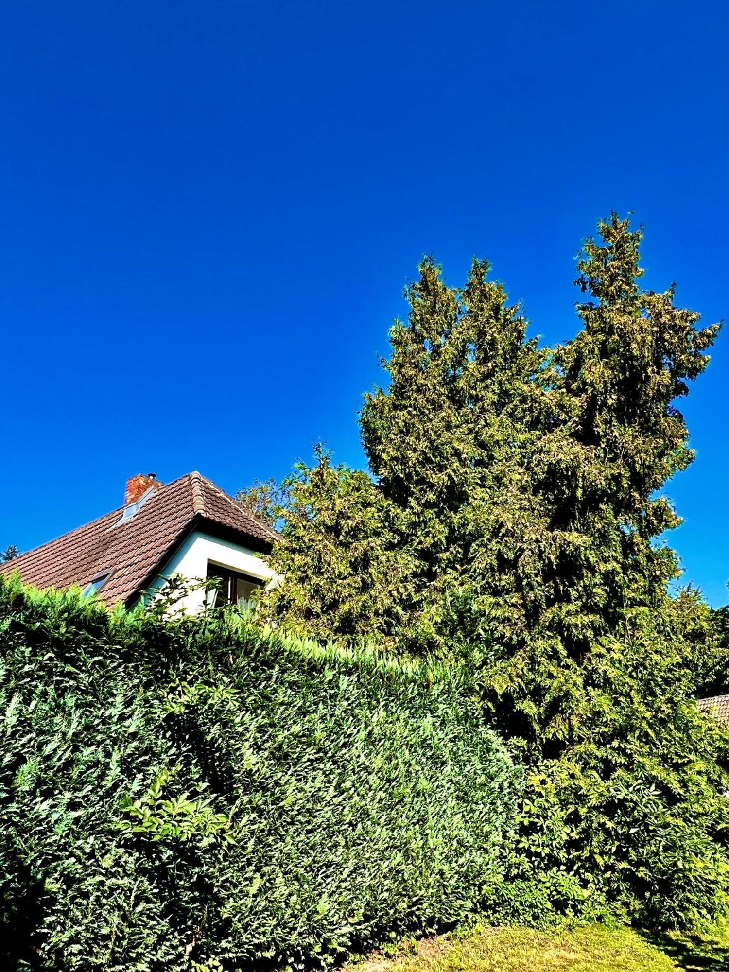 Appartement Haus Am Berg 2